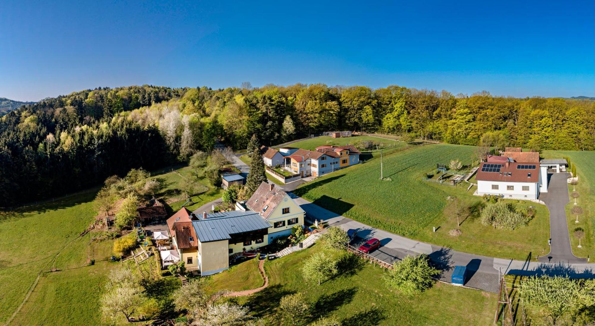 Ferienappartments Landhaus Fuehldichwohl Fehring ภายนอก รูปภาพ